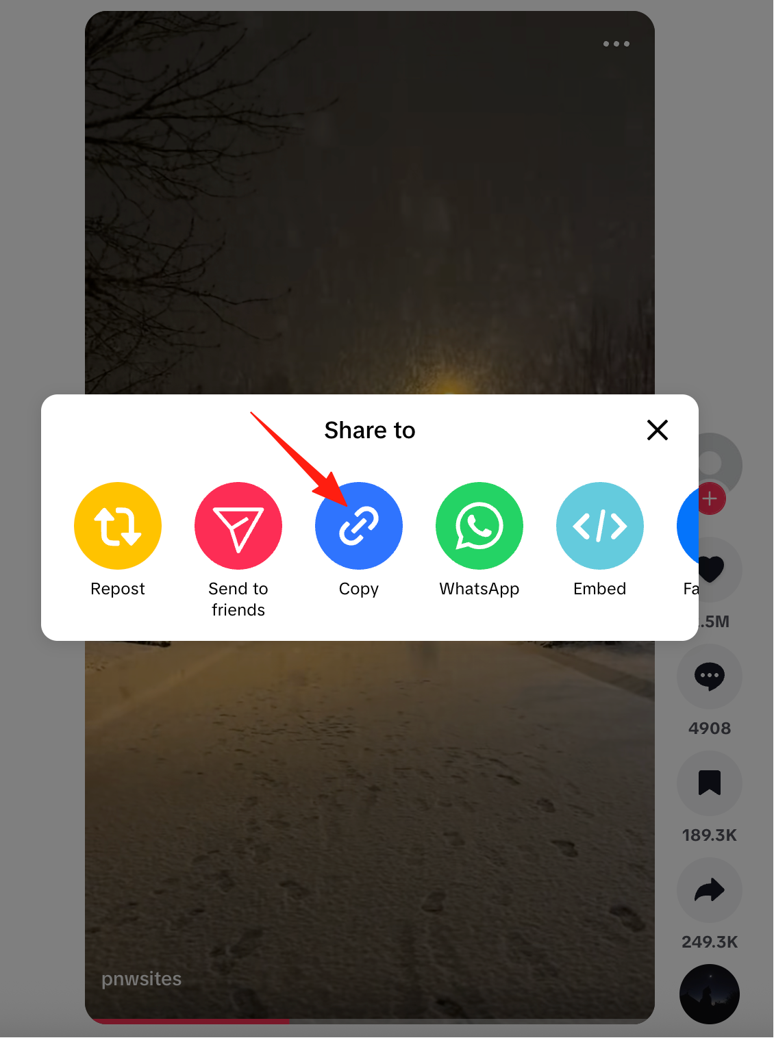 Copy Link / 复制链接